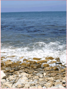 Dive Beach