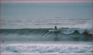Malaga Surfer