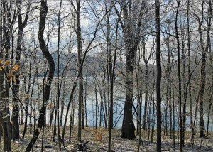 Radnor Lake Radnor Lake